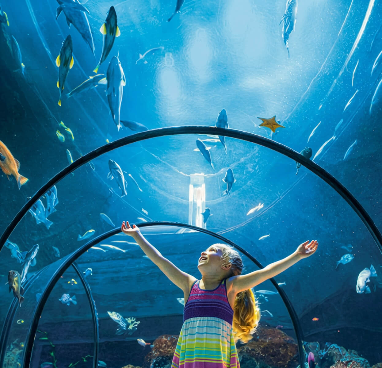 Aquarium du Québec